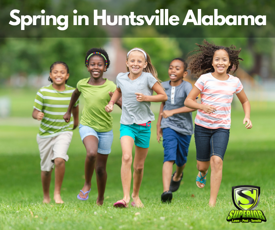 It's almost spring 2023 in Huntsville, Alabama and soon the kids will be playing outside again